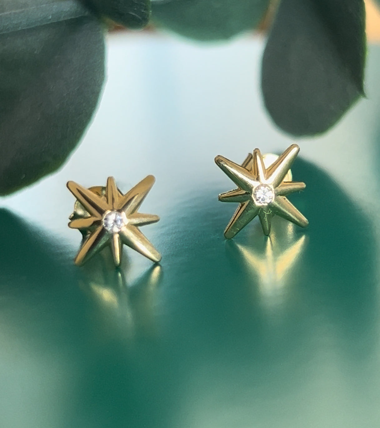 Wishing On The Stars Earrings